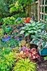 Sammamish, WA. Japanese grasses planted along with hosta, impatiens and Coralbells in garden Art Print